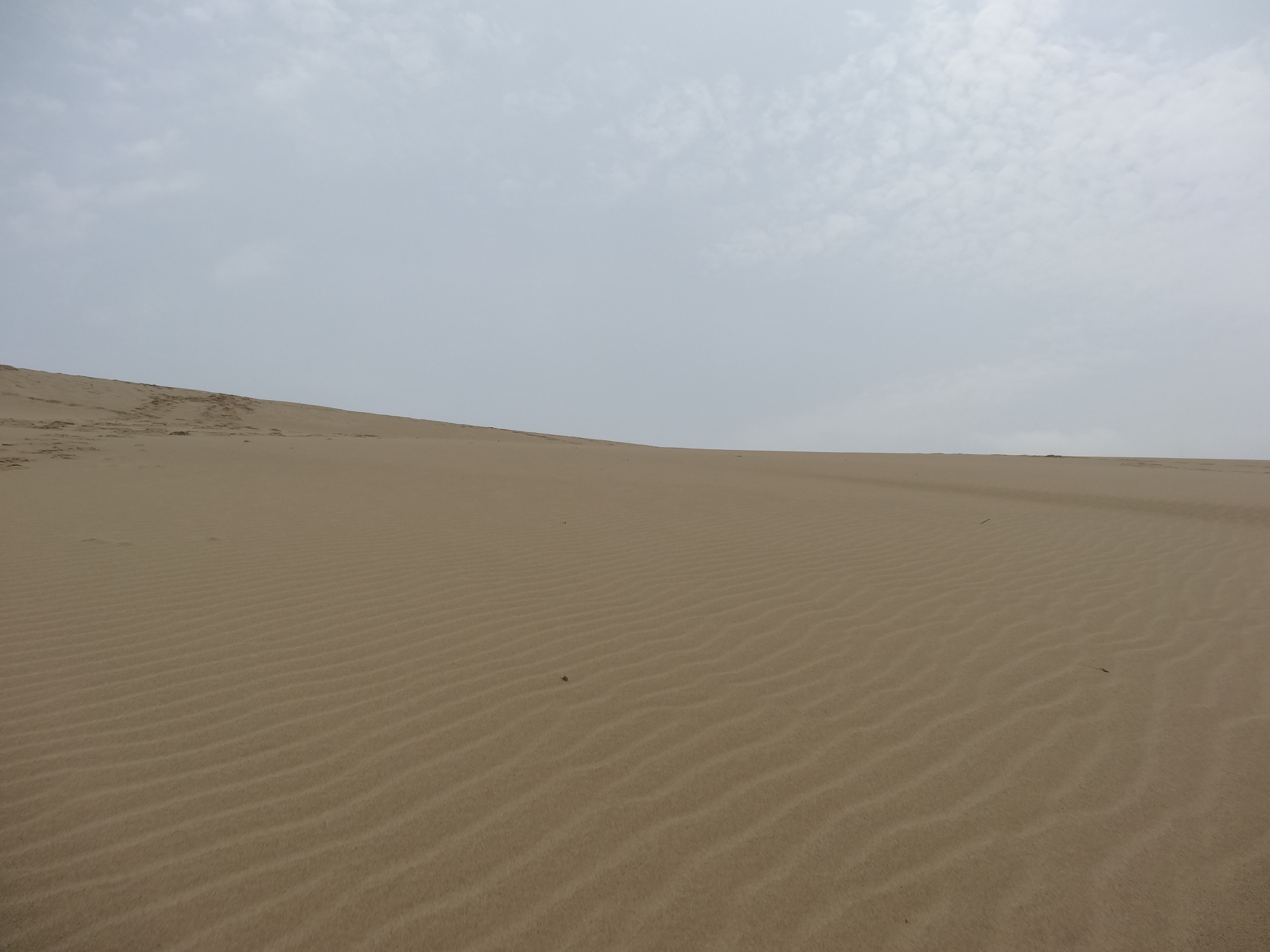 Le Dune di sabbia di Tottori.
