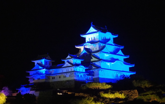 Luci al Castello di Himeji