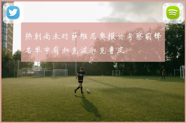 热刺尚未对萨维尼奥报价考察前锋名单中有加克波和克鲁皮