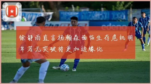 徐静雨直言杨瀚森面临生存危机明年若无突破将更加边缘化