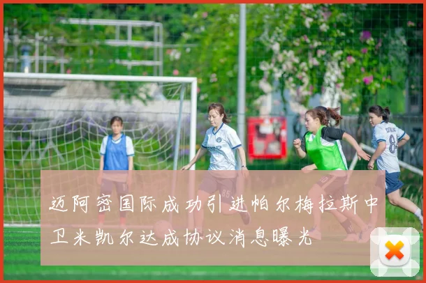 迈阿密国际成功引进帕尔梅拉斯中卫米凯尔达成协议消息曝光
