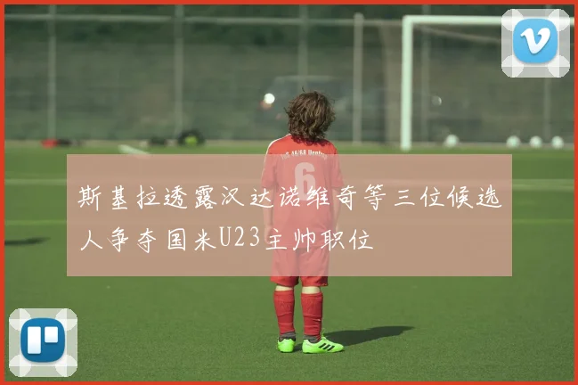 斯基拉透露汉达诺维奇等三位候选人争夺国米U23主帅职位